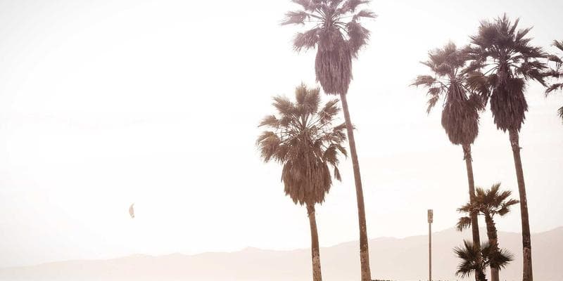 Different income sources for newcomers in Canada