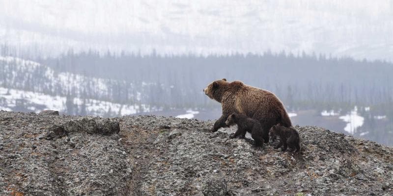 Nunavut driver licensing process image 4