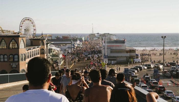 Cat with collar and tag representing pet licensing in Canada