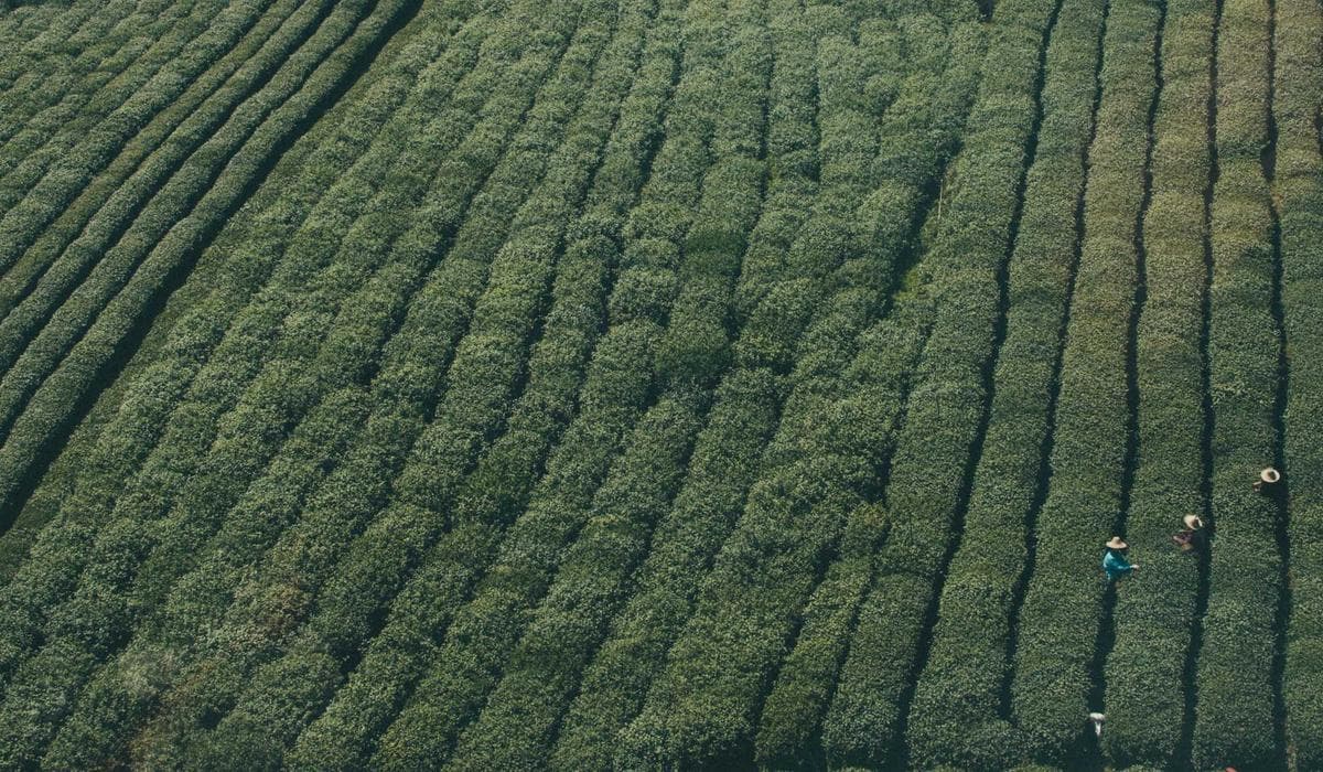 Warning signs of mobile phone contract traps for newcomers