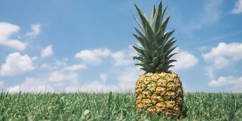 Group of diverse individuals discussing private refugee sponsorship in Canada