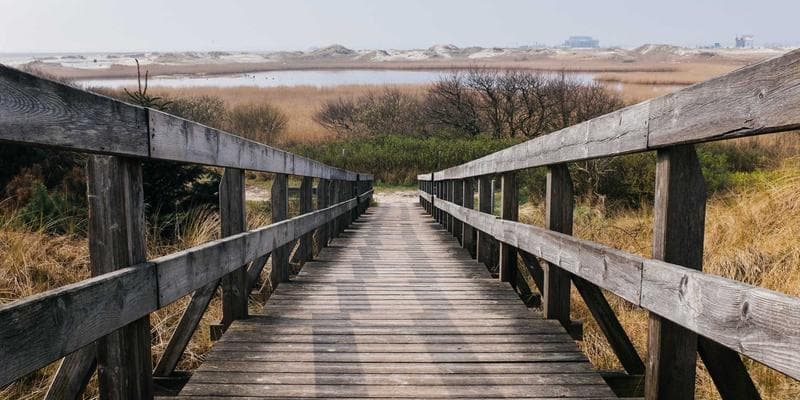 Documents showing ties to home country for Canadian visitor visa application