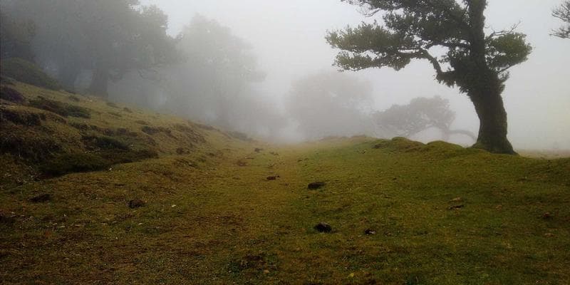 Map showing provincial health coverage waiting periods