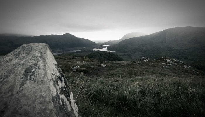 Residential recycling and garbage bins on a Canadian street