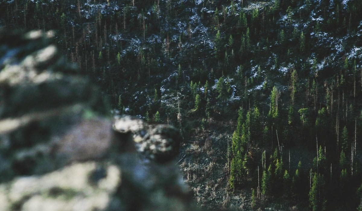 Newcomer professional receiving support for Canadian licensing process