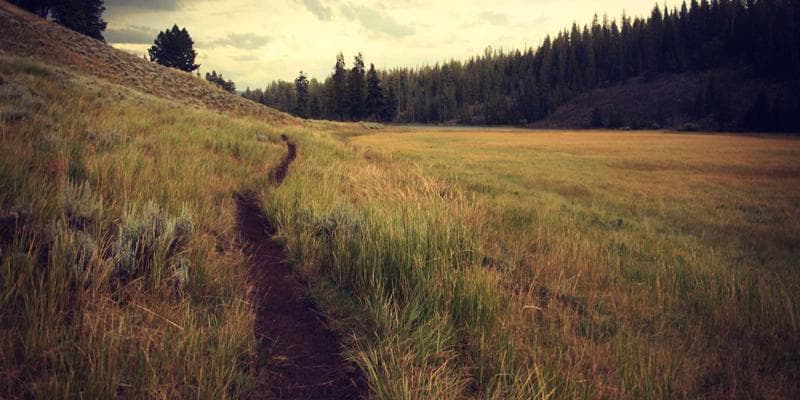 Newcomer sending money to family abroad from Canada