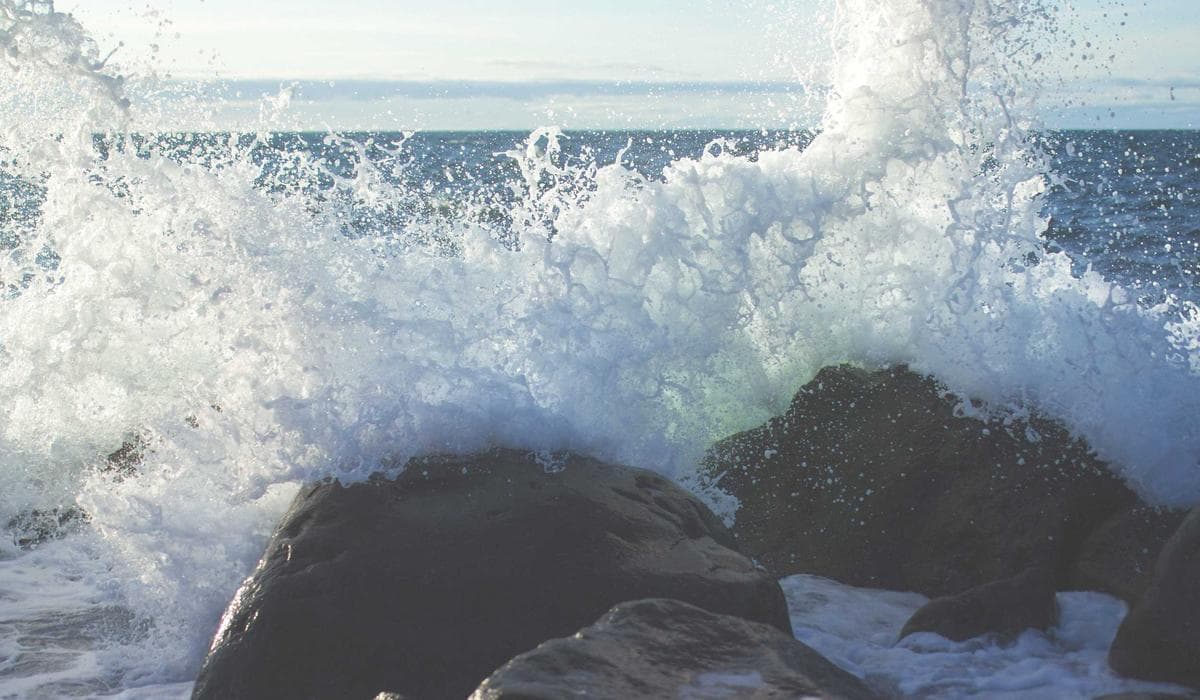 Newcomer family safely moving into their verified rental apartment in Canada
