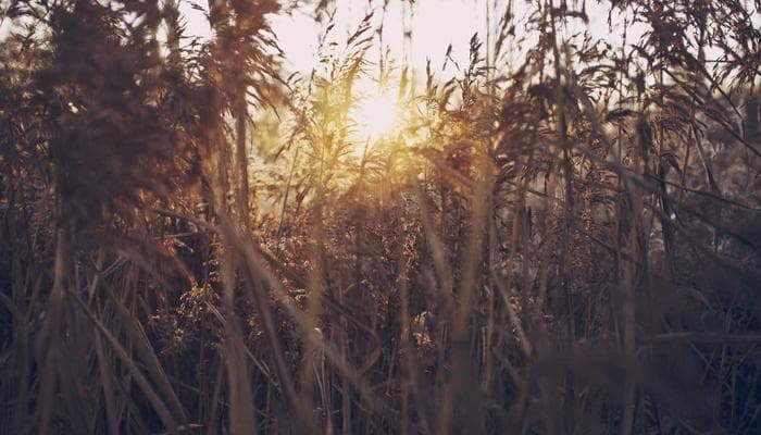 Team collaborating on professional documents in a modern Canadian office