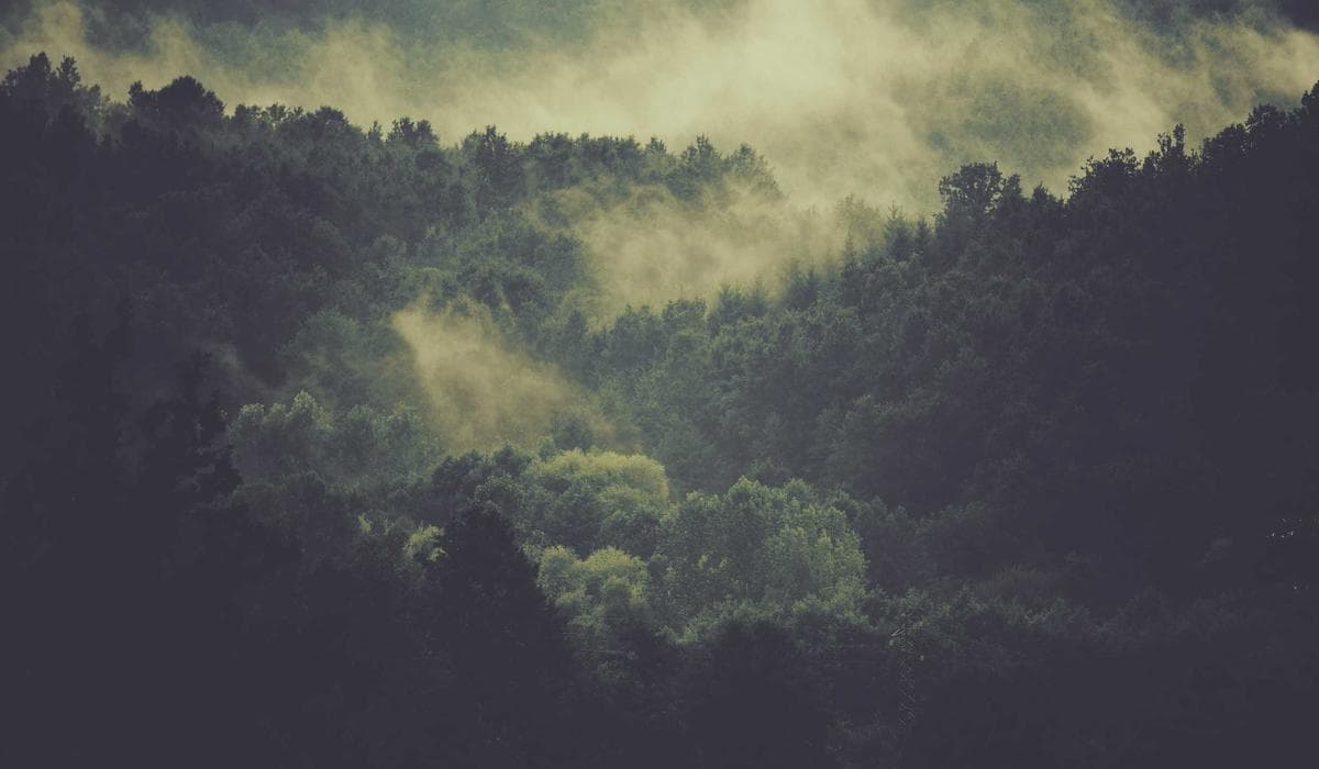 Documents organized and ready for a Service Canada appointment
