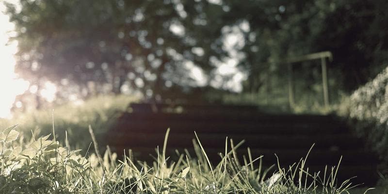 Ontario standard lease form template