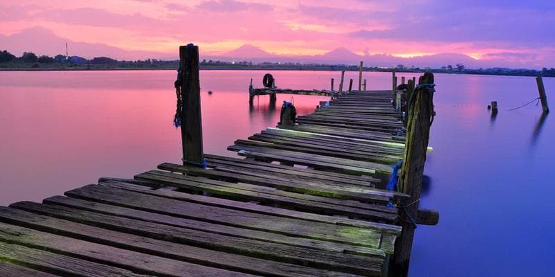 Family wearing lifejackets on a dock by a lake
