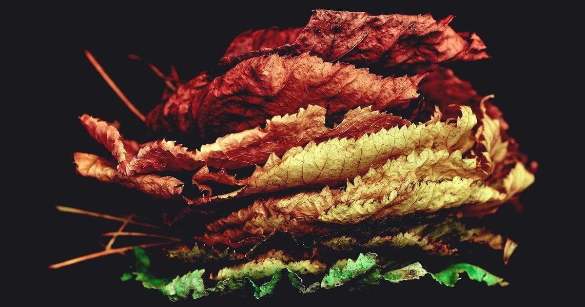 Person signing a T1013 authorization form with a tax professional across the desk