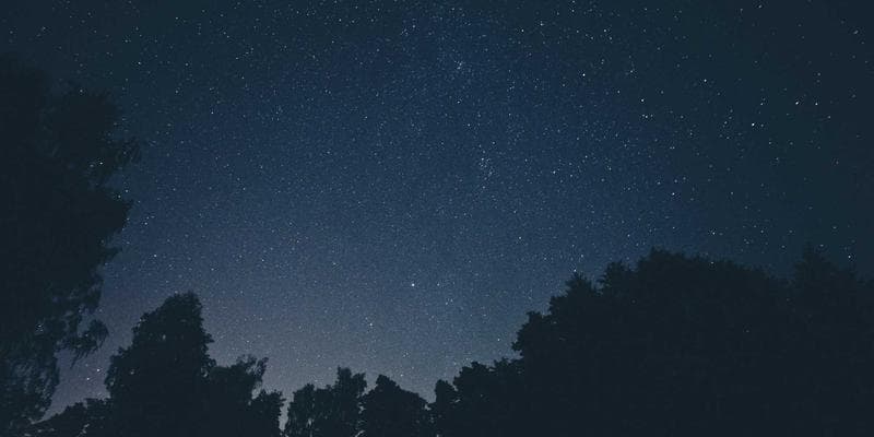 Detailed view of a Canadian T4 slip showing all the numbered boxes