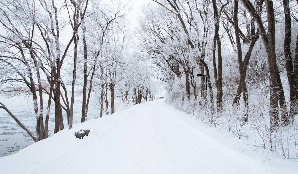 Close-up of TD1 tax form being completed with pen