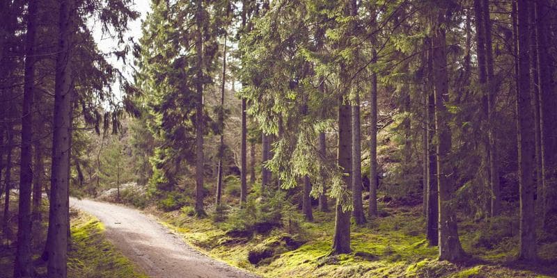 A close-up of hands typing on a laptop keyboard, with legal documents and a pen nearby, representing online filing in 2026.