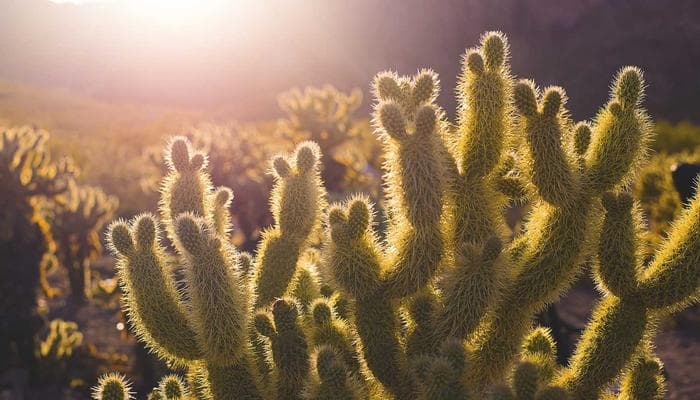 International airport terminal representing refugee travel