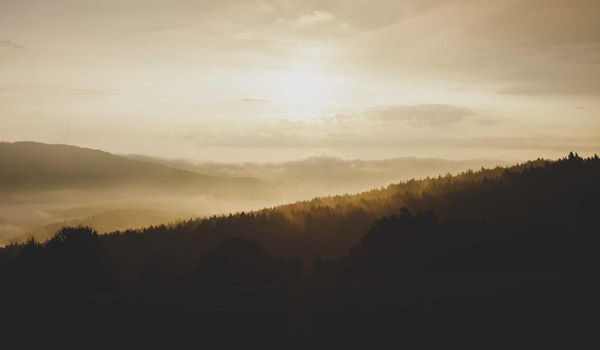 Truck driver standing proudly next to their commercial vehicle in Canada