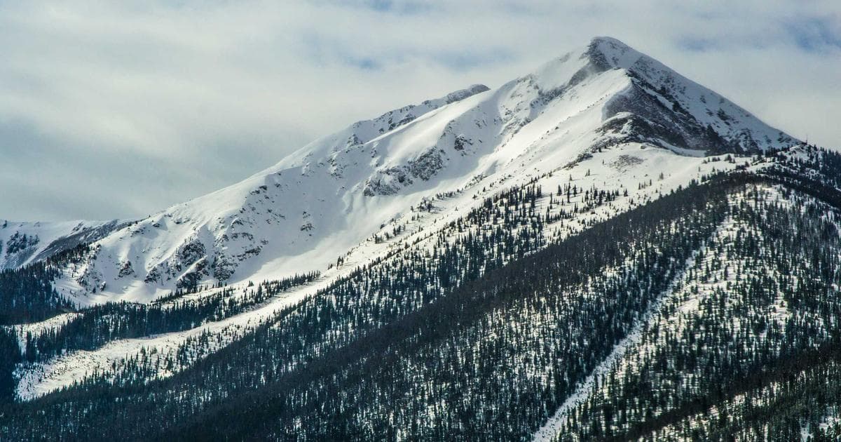 Understanding the T3 Slip for Trust Income