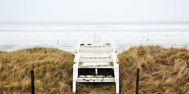 Collection of Canadian tax slips spread on a table for review