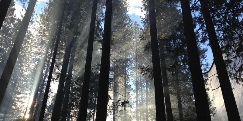 Workers in a meeting discussing collective bargaining and workplace rights