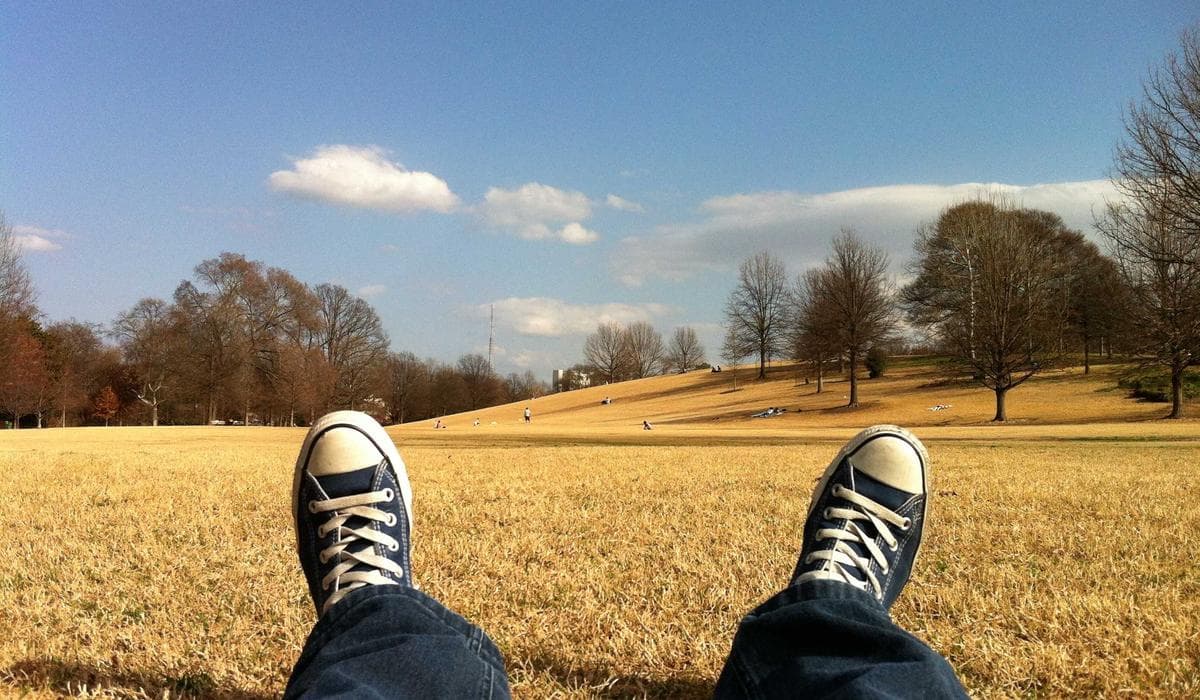 Workers in a Canadian warehouse sorting packages on conveyor belts