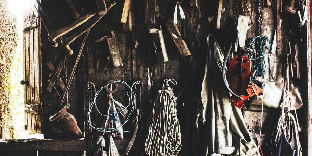 Networking in Canada as a Newcomer: How to Build Professional Connections